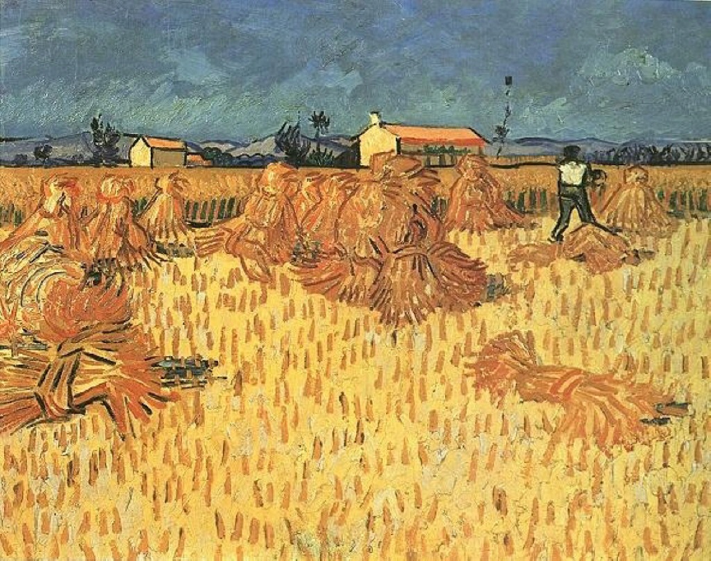Harvest in Provence 