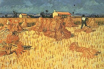 Harvest in Provence