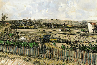 Harvest in Provence, at the Left Montmajour