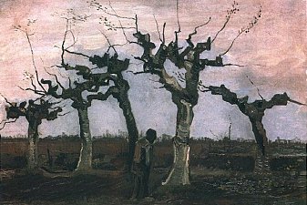 Landscape with Pollard Willows