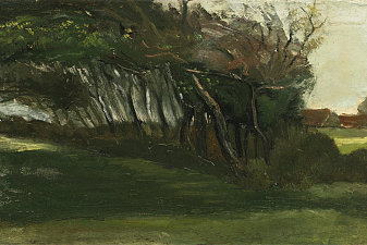Landscape with windswept trees