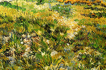 Meadow in the Garden of Saint-Paul Hospital