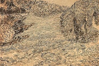 Newly Mowed Lawn with Weeping Tree