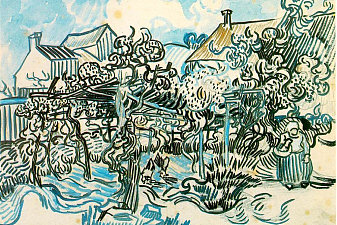 Old Vineyard with Peasant Woman