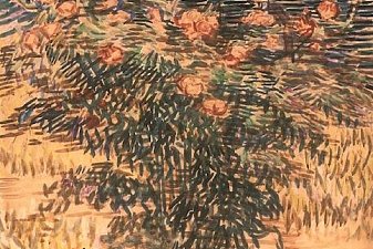 Oleanders, the Hospital Garden at Saint-Remy