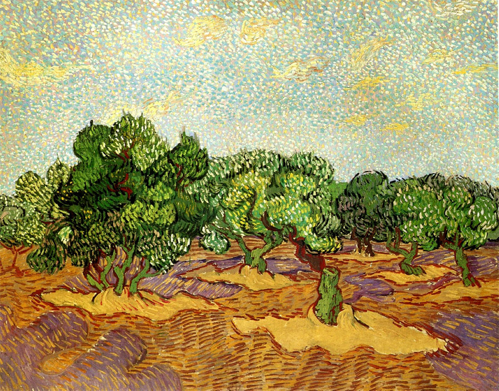 Olive Grove - Pale Blue Sky 