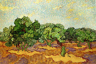 Olive Grove - Pale Blue Sky