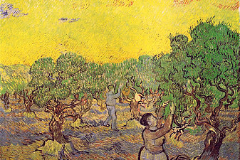 Olive Grove with Picking Figures