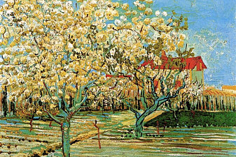 Orchard in Blossom