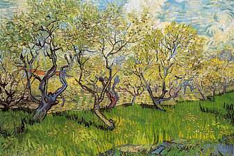 Orchard in Blossom