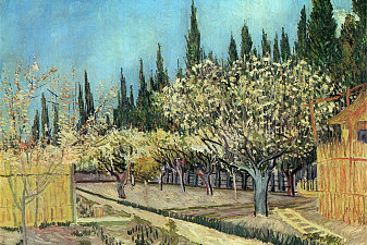 Orchard in Blossom, Bordered by Cypresses