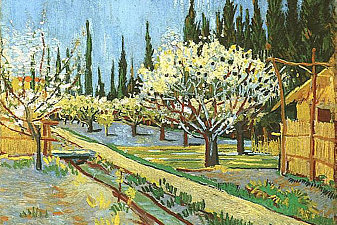 Orchard in Blossom, Bordered by Cypresses