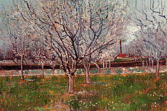 Orchard in Blossom (Plum Trees)
