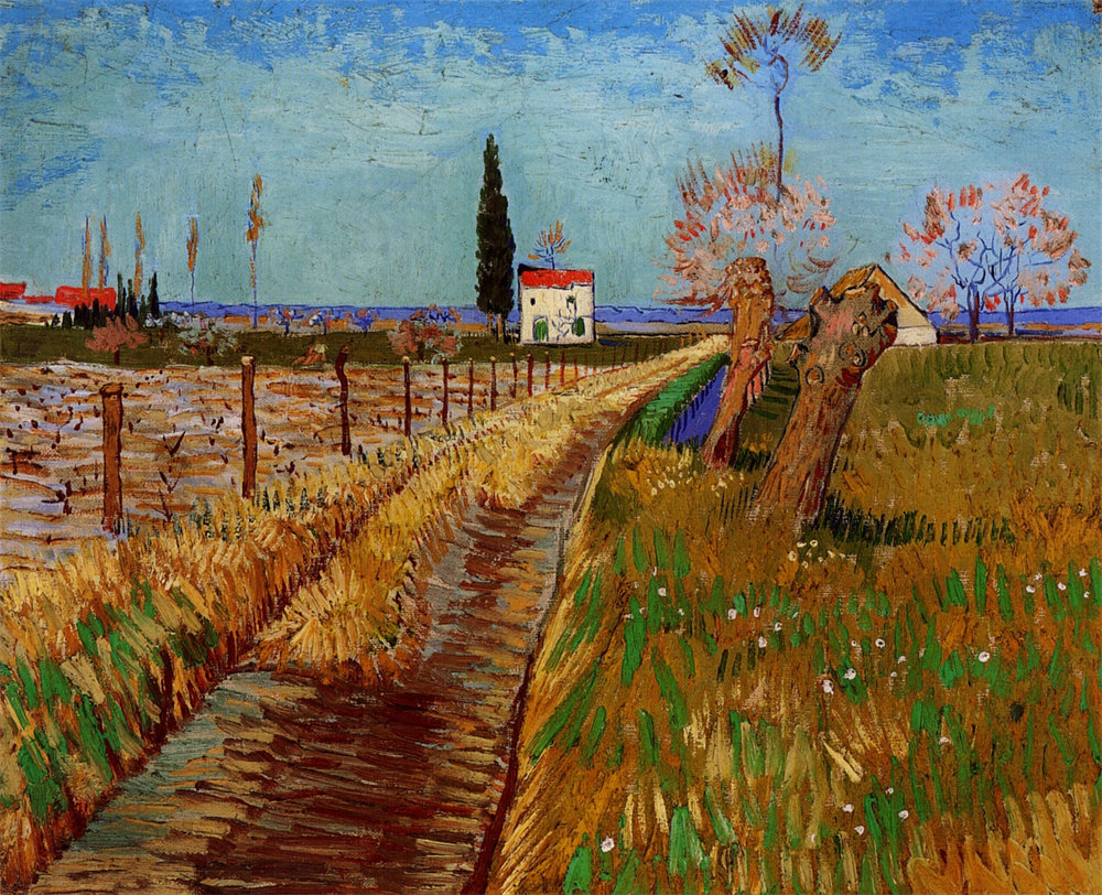 Path Through a Field with Willows 