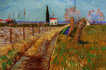 Path Through a Field with Willows