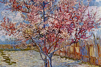 Peach Tree in Bloom (in memory of Mauve)