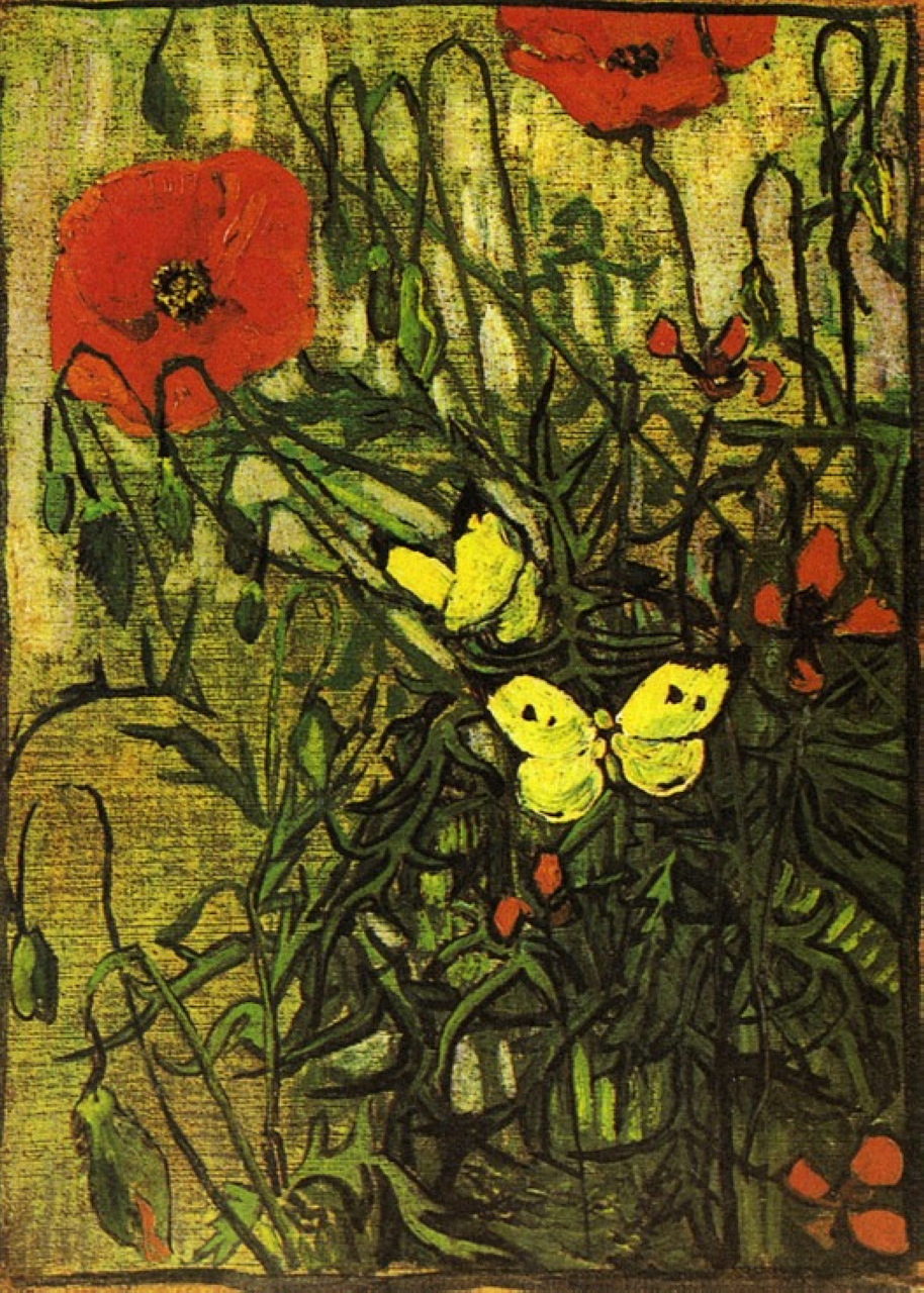 Poppies and Butterflies 
