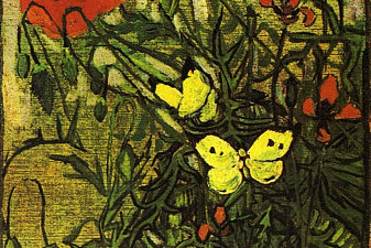 Poppies and Butterflies