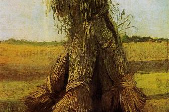 Sheaves of Wheat in a Field