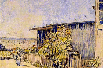 Shed with Sunflowers