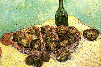 Still Life Bottle, Lemons and Oranges