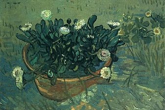 Still Life Bowl with Daisies