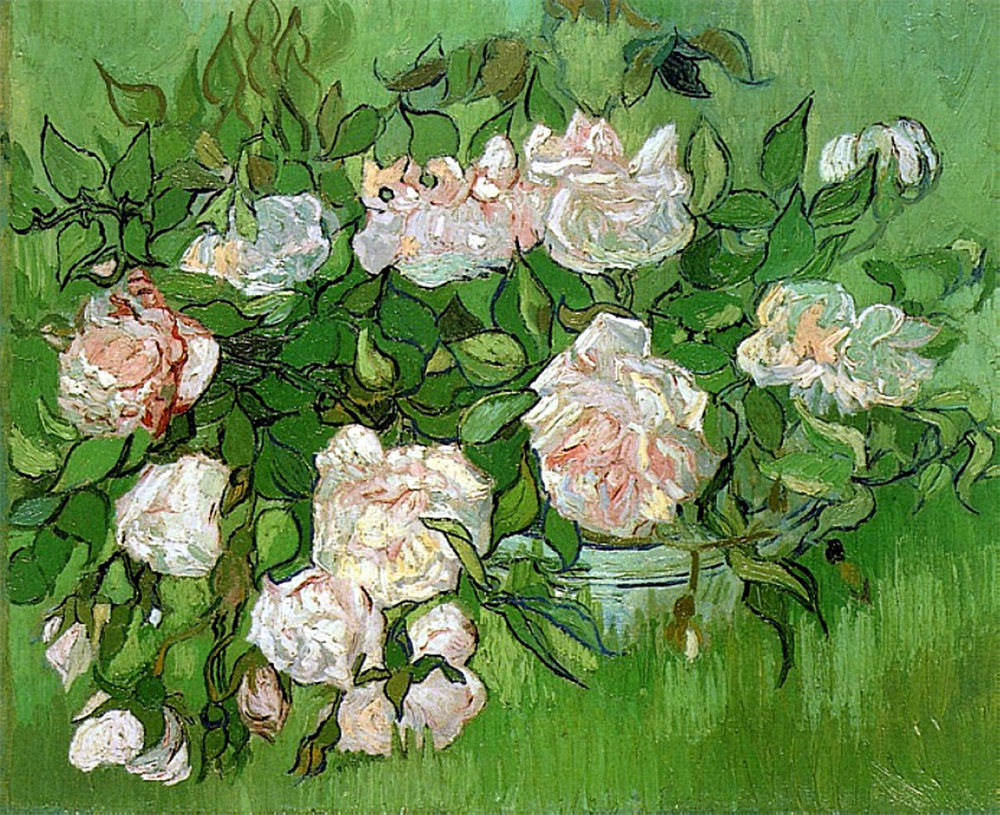 Still Life - Pink Roses 