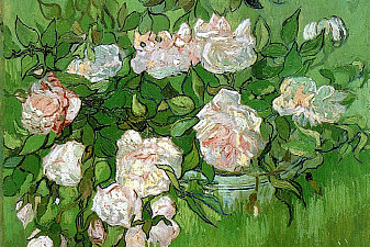 Still Life - Pink Roses