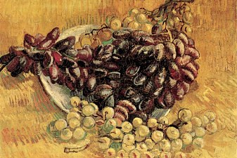 Still Life with Grapes