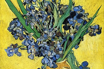 Still Life with Irises