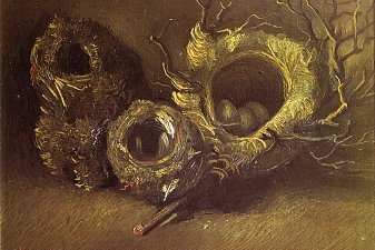 Still Life with Three Birds Nests