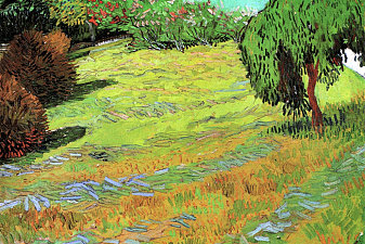 Sunny Lawn in a Public Park