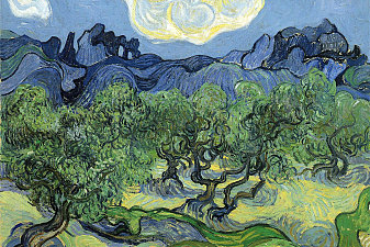 The Alpilles with Olive Trees in the Foreground