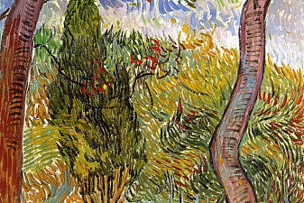 The Garden of Saint-Paul Hospital