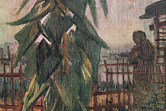 The Garden with Sunflower