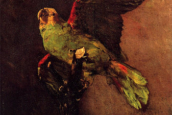 The Green Parrot