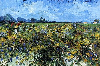 The Green Vinyard