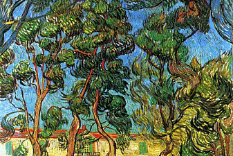 The Grounds of the Asylum