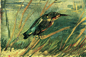 The Kingfisher