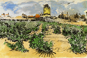 The Mill of Alphonse Daudet at Fontevieille