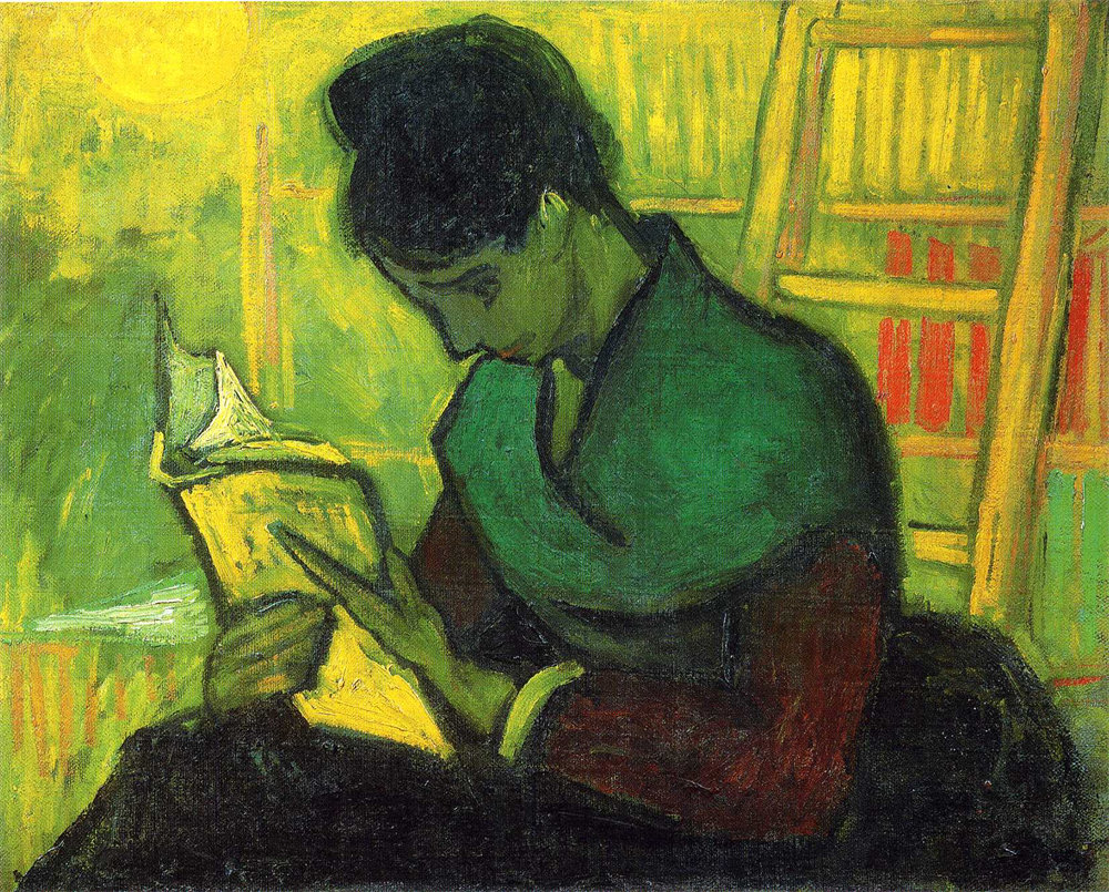 The Novel Reader 