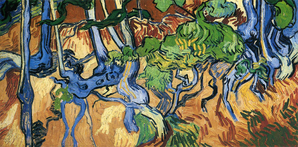 Tree roots 