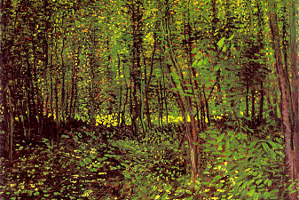 Trees and Undergrowth