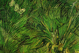 Two White Butterflies