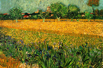 View of Arles with Irises in the Foreground