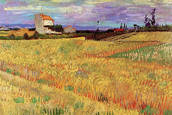 Wheat Field