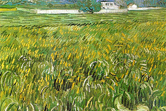 Wheat Field at Auvers with White House