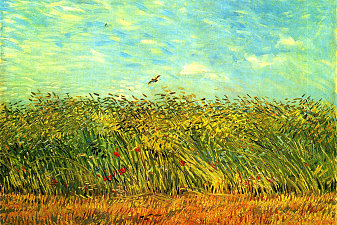 Wheat Field with a Lark