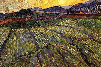 Wheat Field with Rising Sun