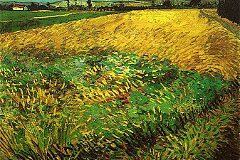 Wheat Field with the Alpilles Foothills in the Background